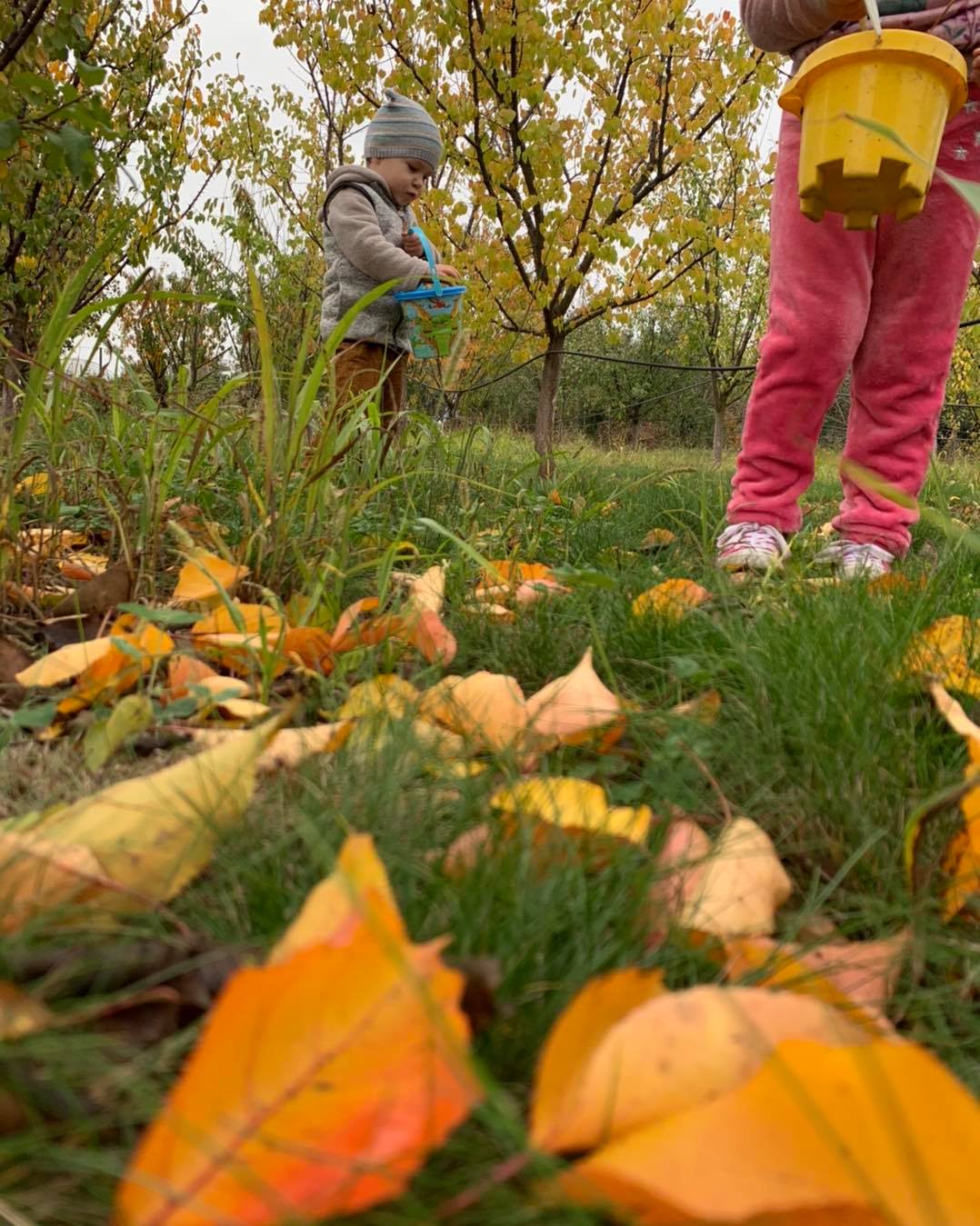 May be an image of child, standing, footwear, grass and tree